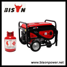 BISON(CHINA) Gasoline Biogas Double Use Biogas Power Generator